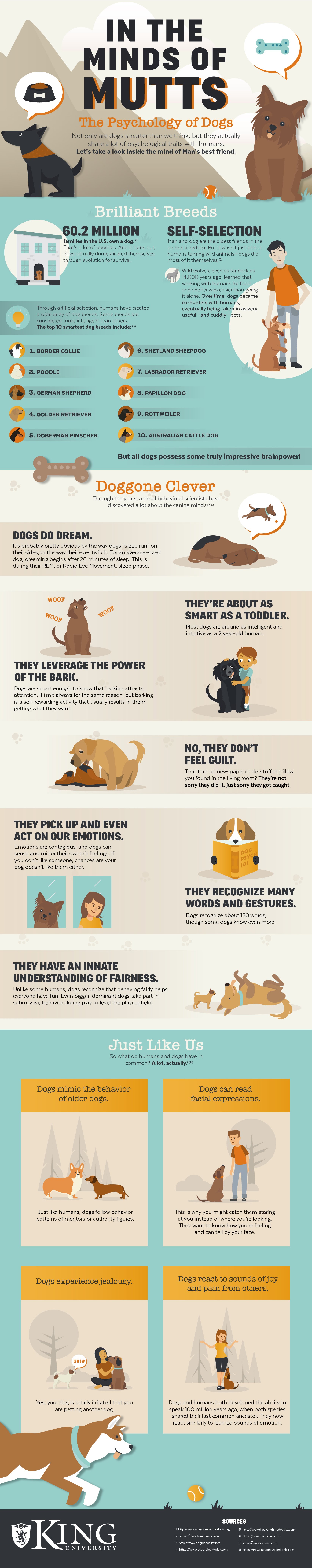 Dog Psychology: In the Mind of Mutts #Infographic #Animal #Dogs #Pets Dog Psychology: In the Mind of Mutts