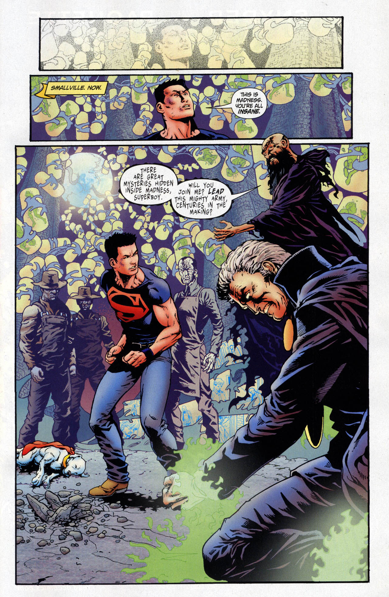Superboy [I] Issue #10 #10 - English 28