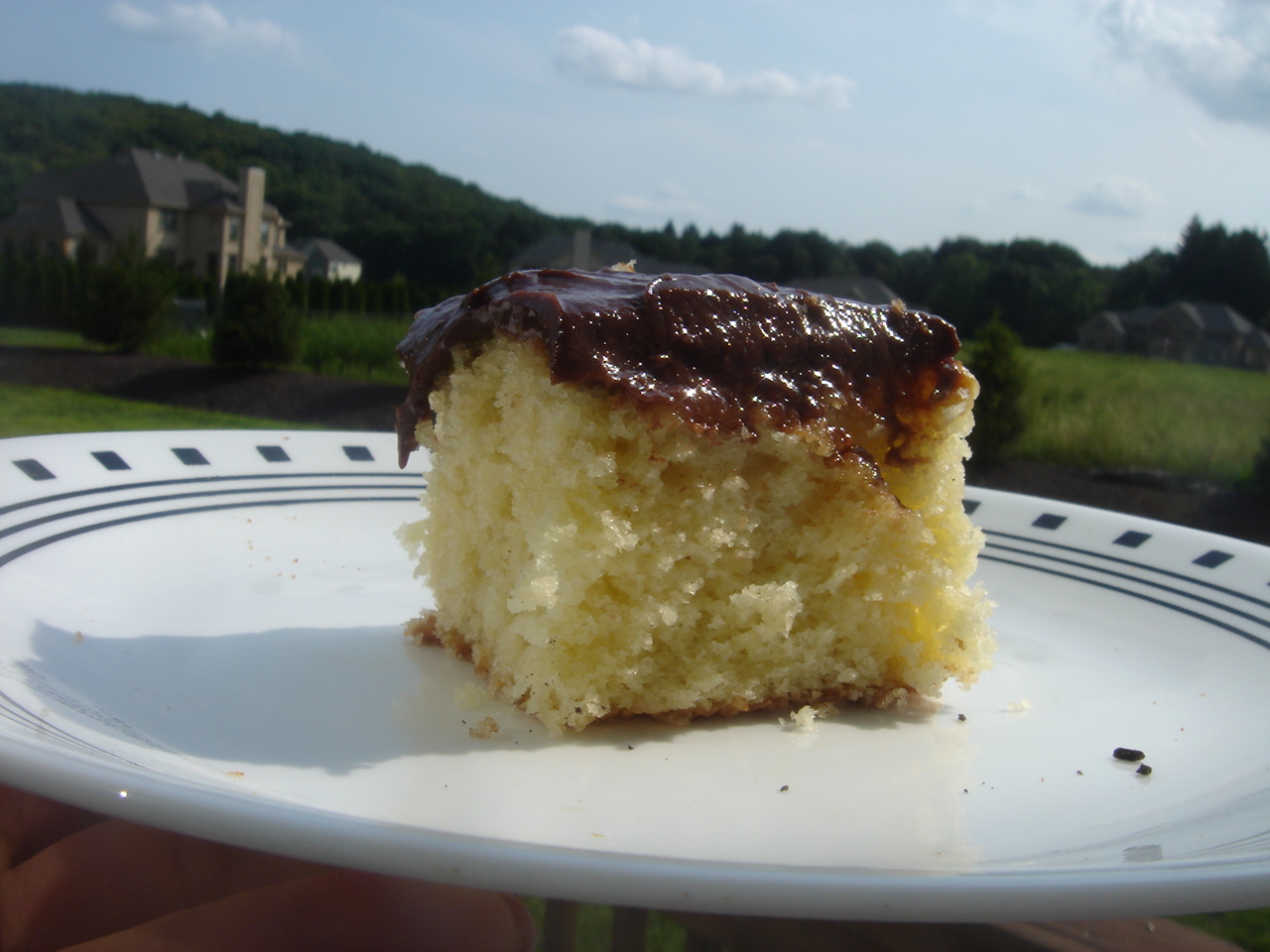 Got Cake? yellow cake with chocolate frosting.