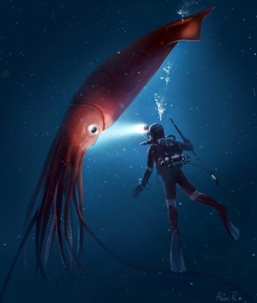 squid colossal terbesar cumi squids raksasa blonk invertebrata collosal deep kemilau cerita terpanjang