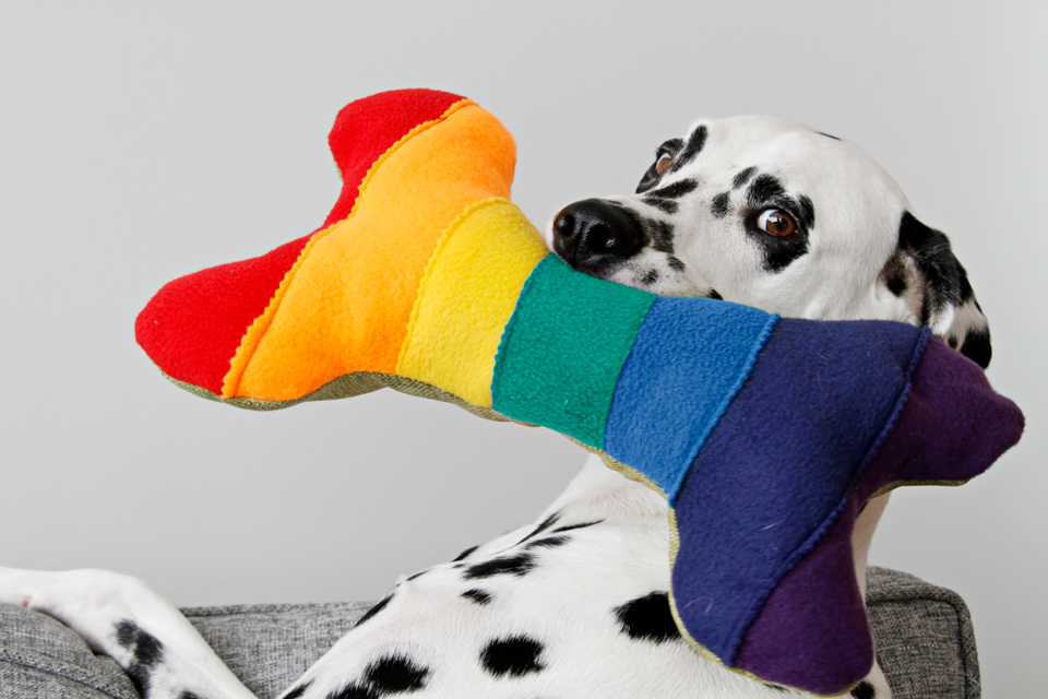 Dalmatian DIY DIY Rainbow Bone (Rainbone!) Squeaky Dog Toy