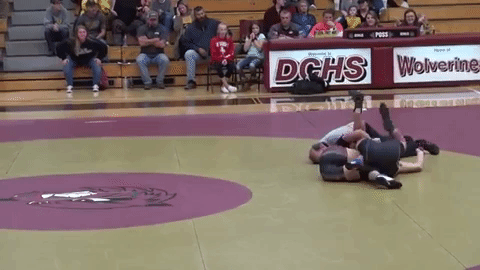Men Wrestling Women: 2019