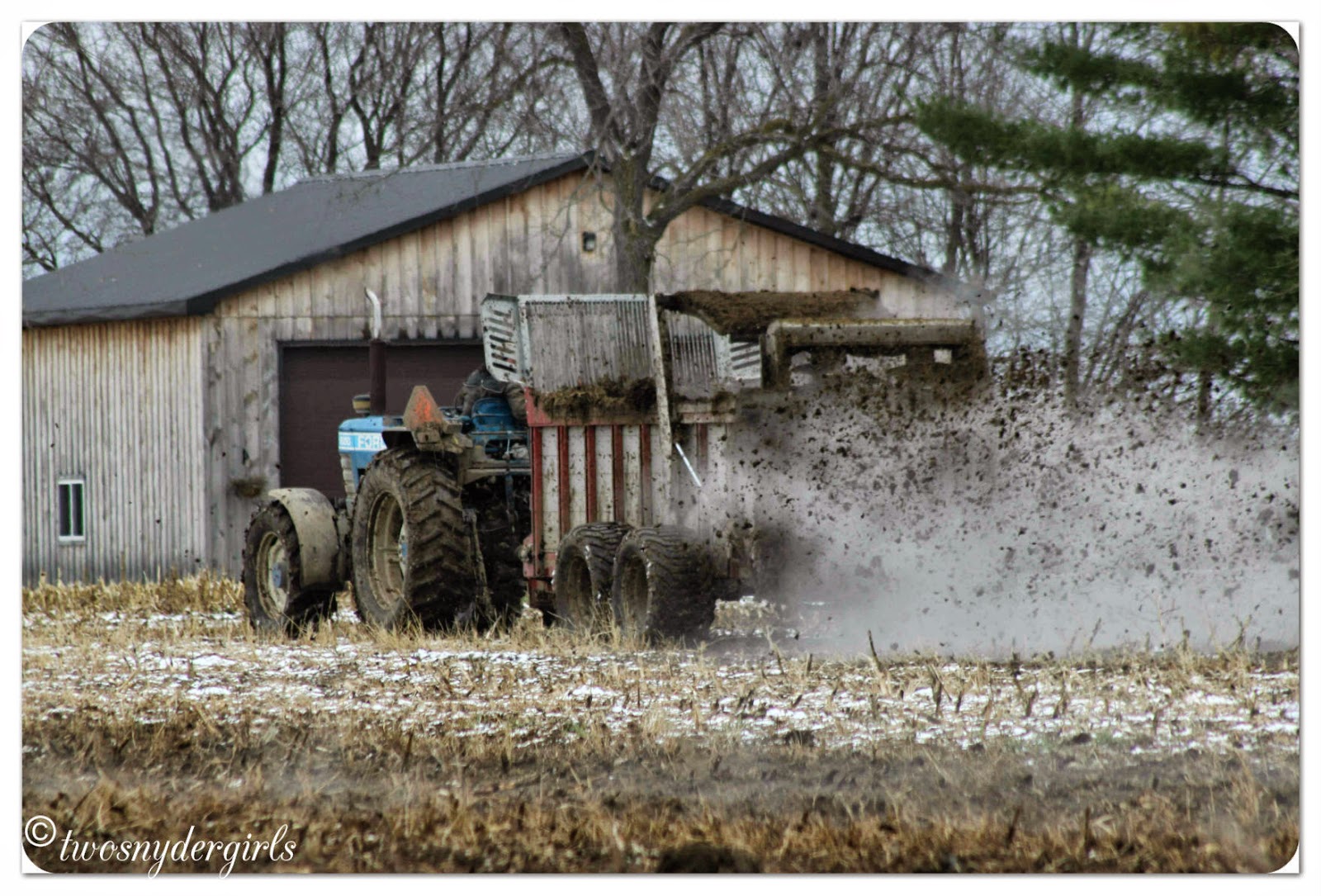 Spreading manure