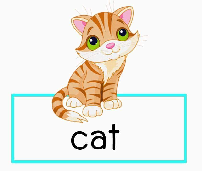 Включи английского кота. Карточка кошка. Cat for Kids карточка. Карточки английски кошка. Карточки со словами на английском для детей кошка.