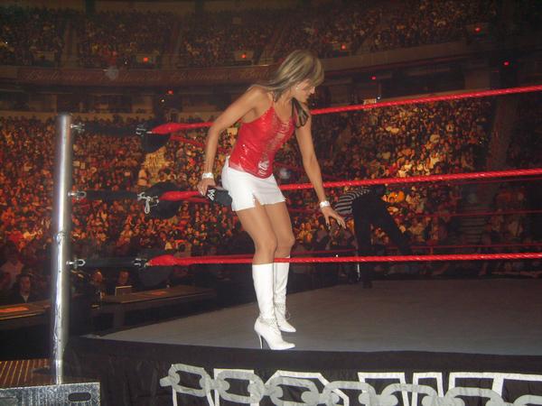 The Appreciation Of Booted News Women Blog Wwe Diva