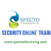 sap security online training in usa,australia