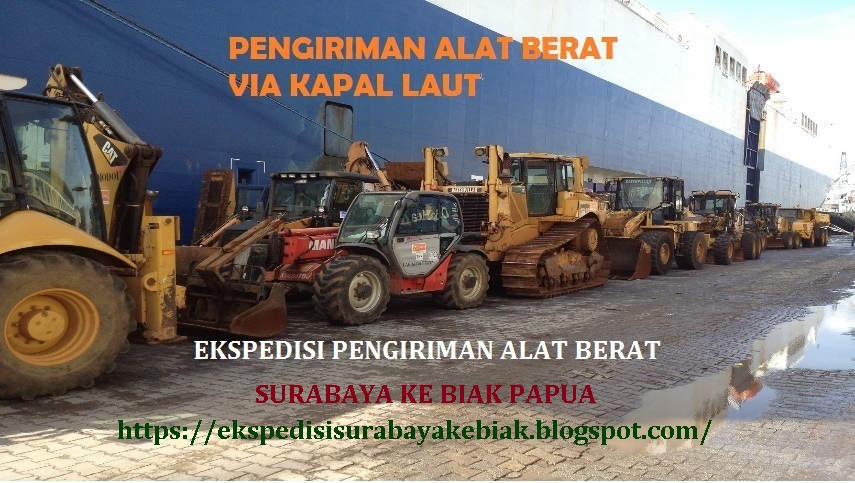 Jasa Ekspedisi Cargo Pengiriman Surabaya Ke Biak Maju Mapan Express