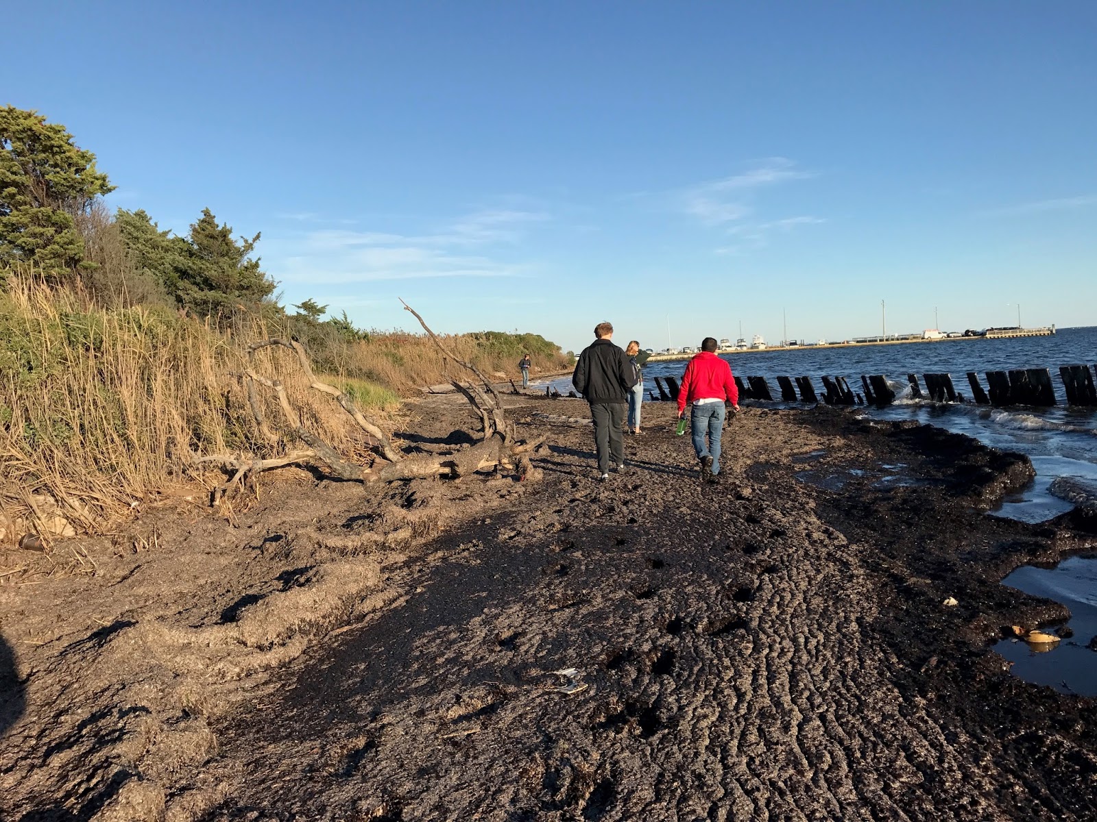 Coastal Cultural Experience Sayville Maritime Musuem & Boat Burning