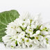 3 Wallpapers de Flores