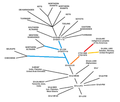 phylogenetic tree Q1a3 haplogroup