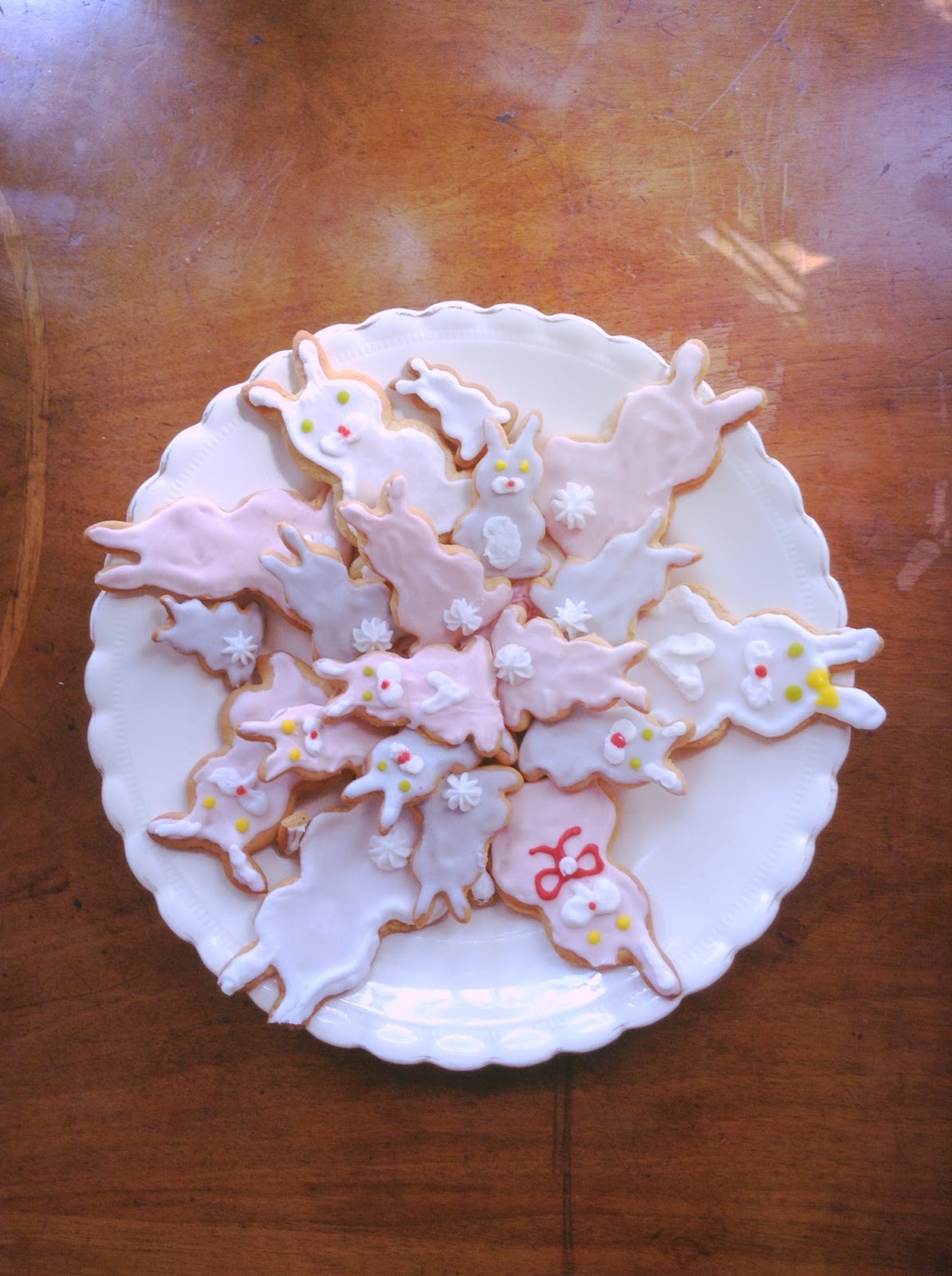 Maya Doyle Bunny Biscuits!