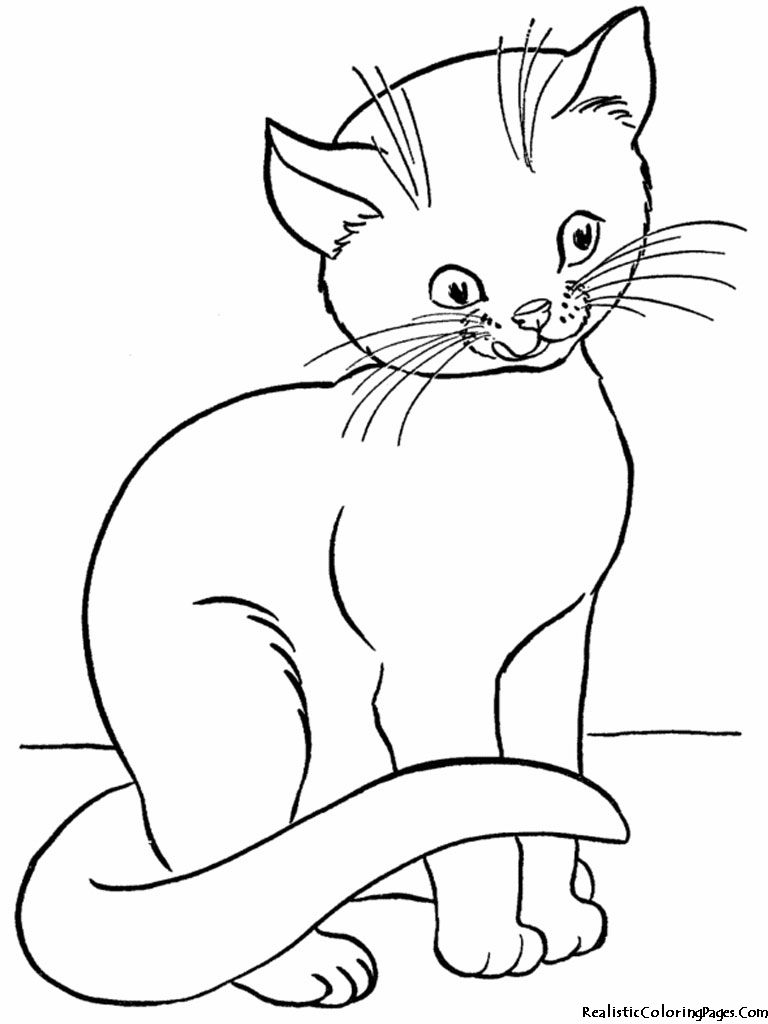 realistic cat coloring pages printable - photo #8