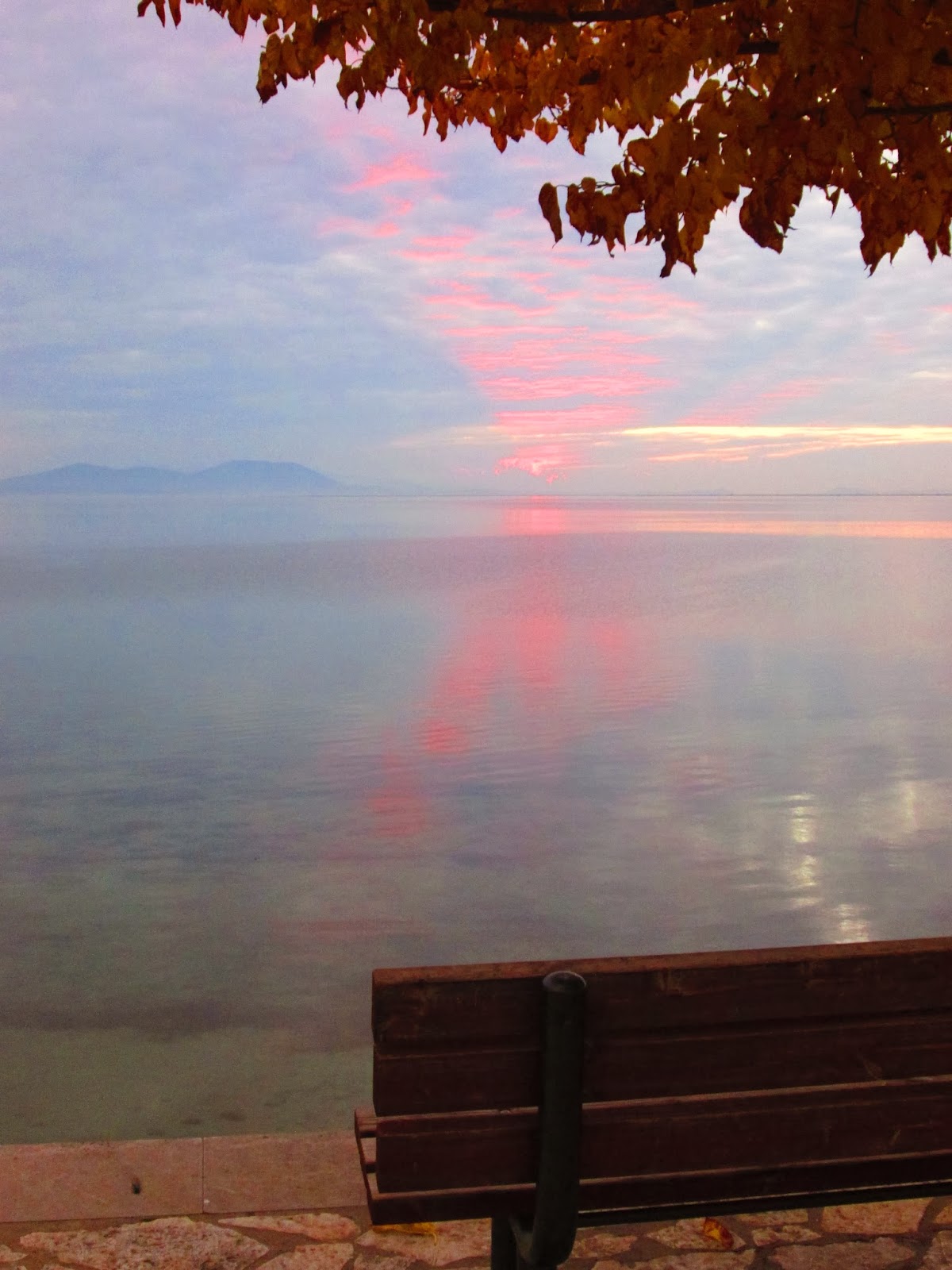 Today I Change: Merry Christmas