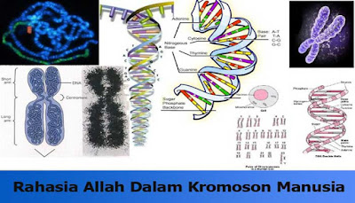  Ahmad Khan seorang peneliti lulusan dari Summa Camlaude dari Duke University menemukan ba RAHASIA ALLAH DALAM KROMOSOM MANUSIA