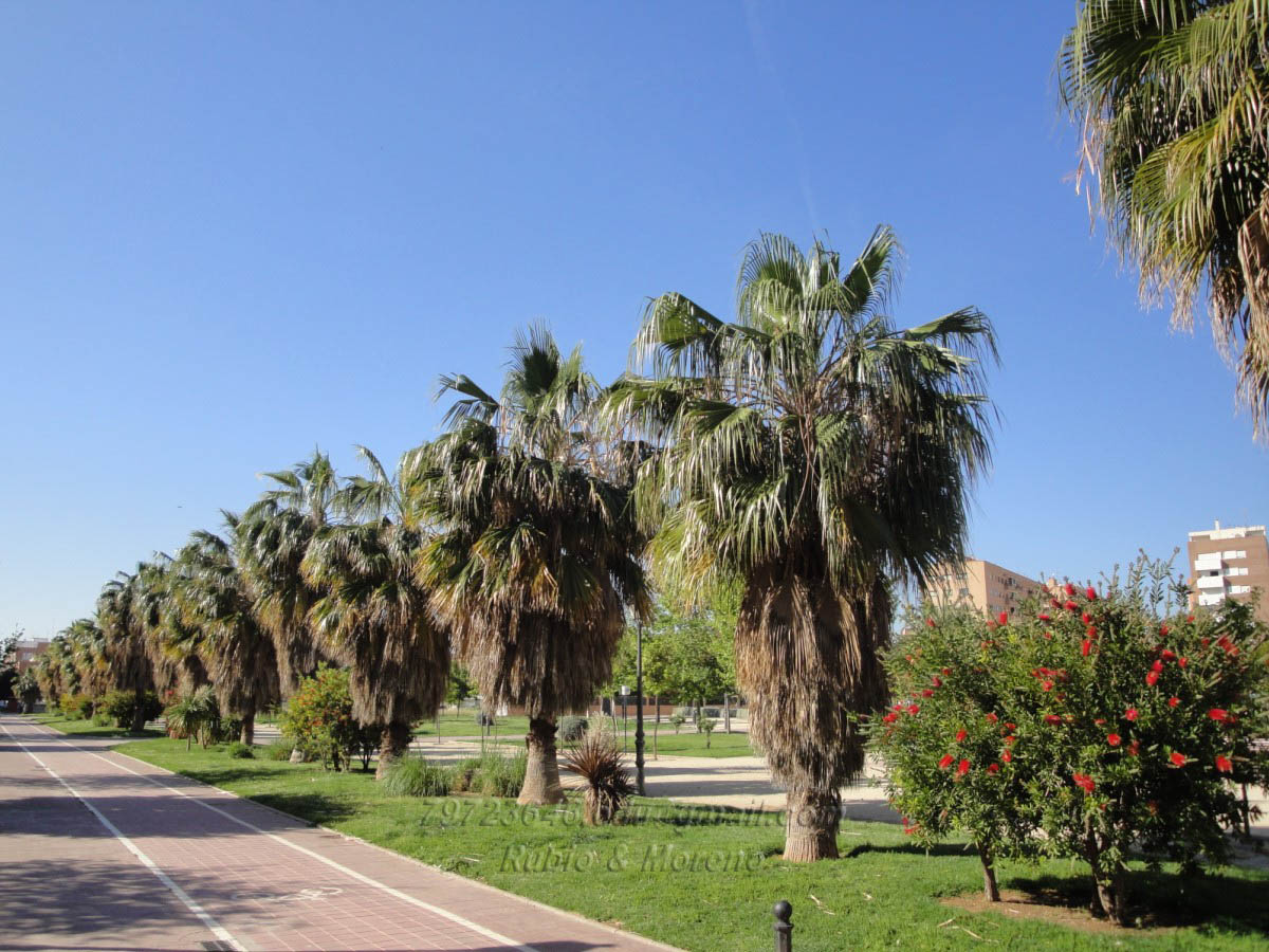Pisos en alquiler en Valencia Fotos Entorno