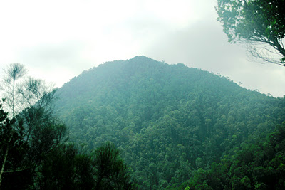Gunung Djadi "Gunung Pertama" di Provinsi Riau | Madyapala Univ