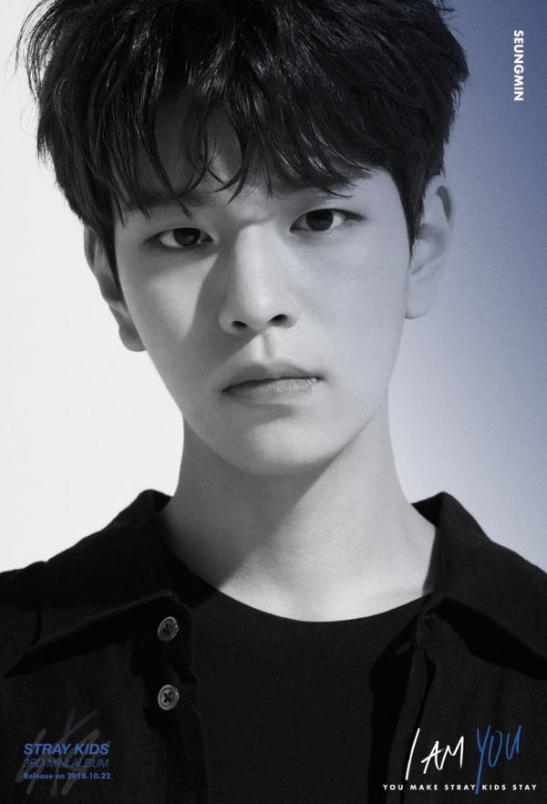 Profil, Biodata, Fakta Stray Kids