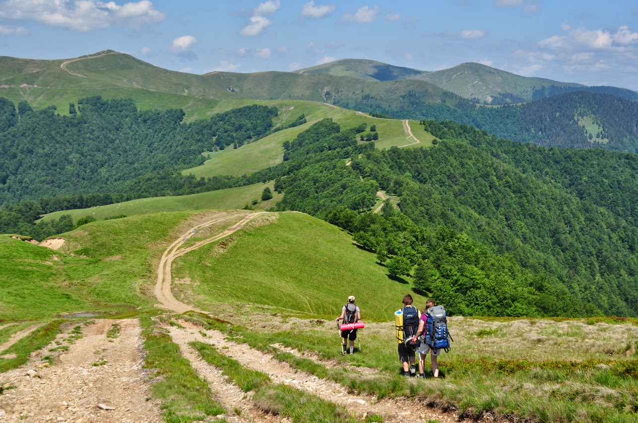 терренкур кисловодск. терренкур маркхот. терренкур маркхот. маркхотский хребет новороссийск. ставропольский край кисловодск терренкур № 2 тропа косыгина.