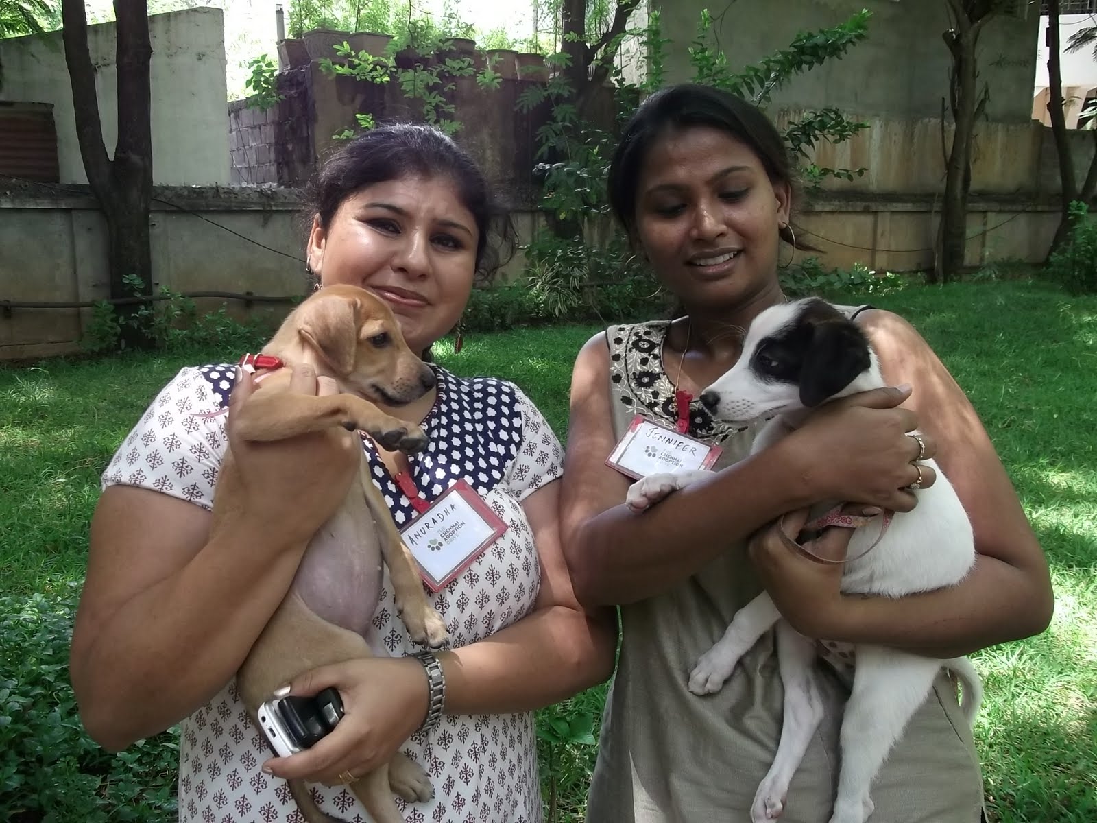 The Chennai Pet Adoption Drive begins to get up steam