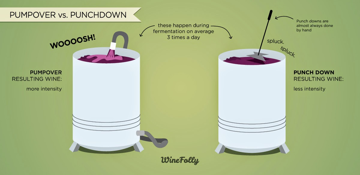 Gastronomy 101 RED WINE PROCESS & OAK