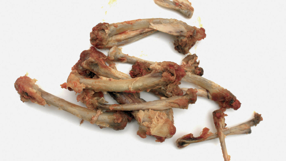 куриные кости людям