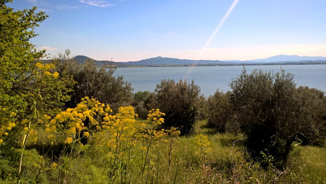 Lago Trasimeno  - Isola Polvese  San Feliciano