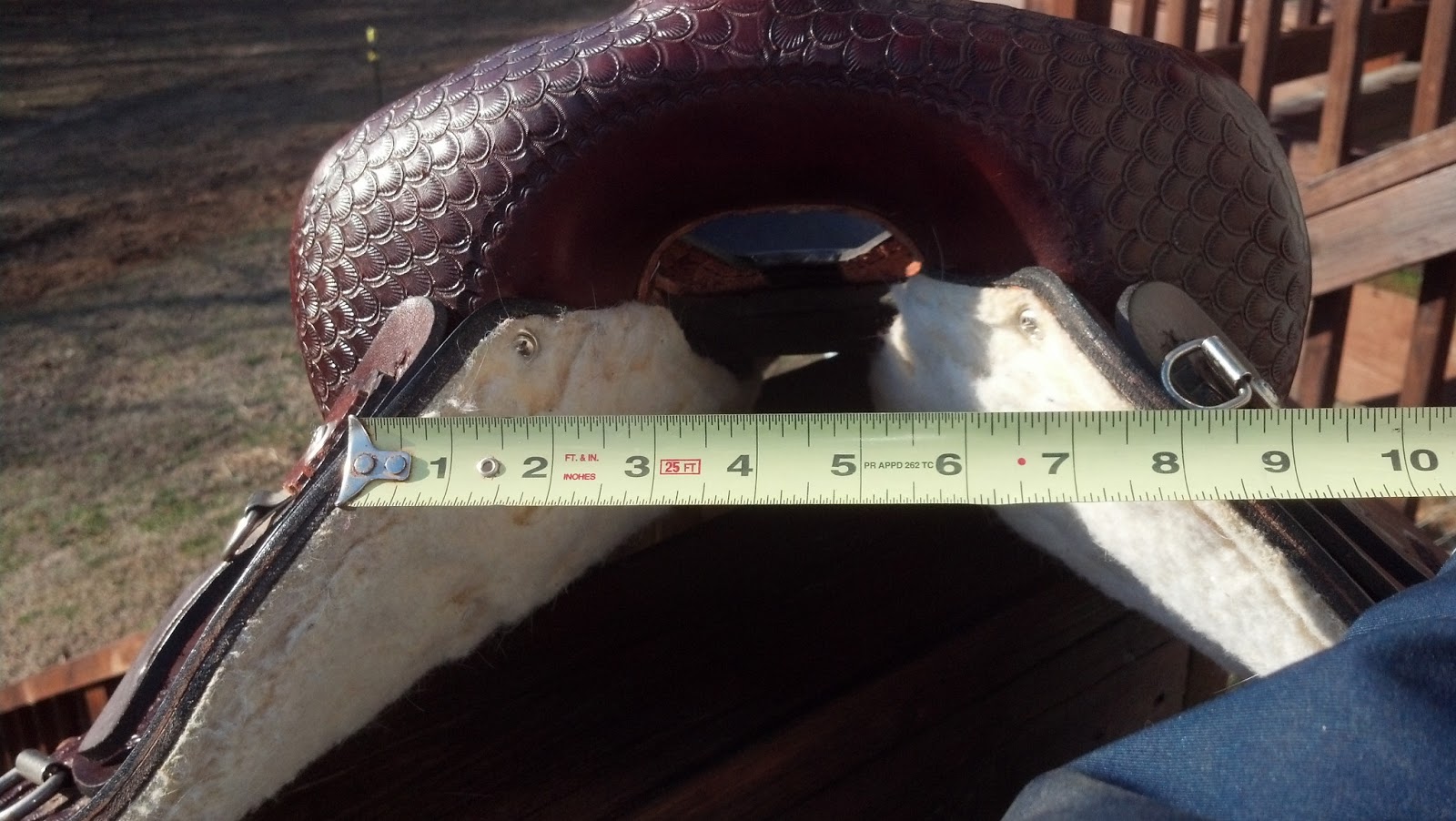 Ask Palmriders in Virginia Saddle fitting 101