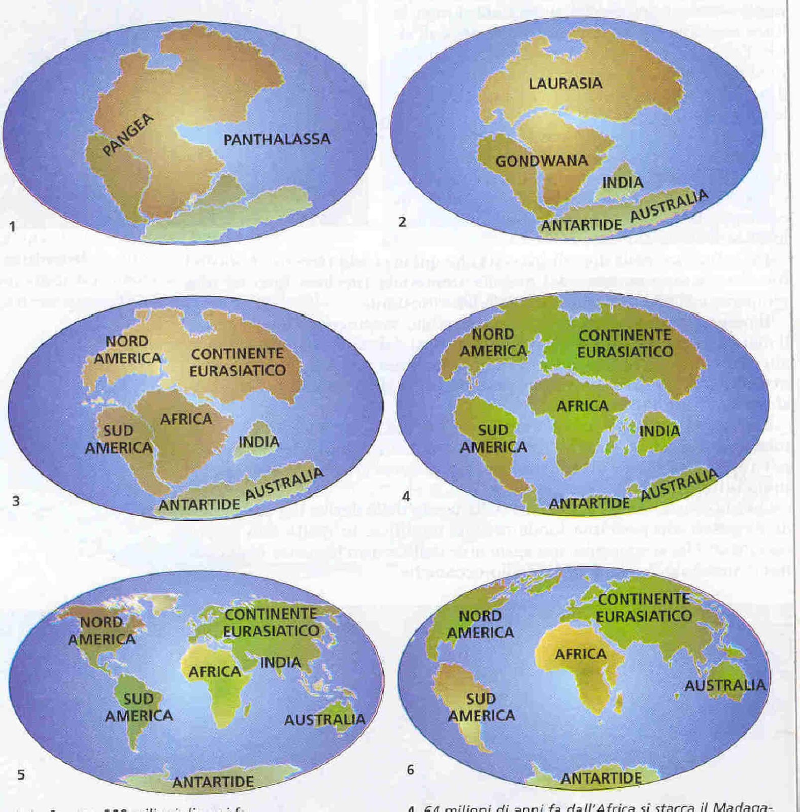 Il piacere di sapere che Continenti come si sono formati Il piacere di sapere che Continenti come si sono formati