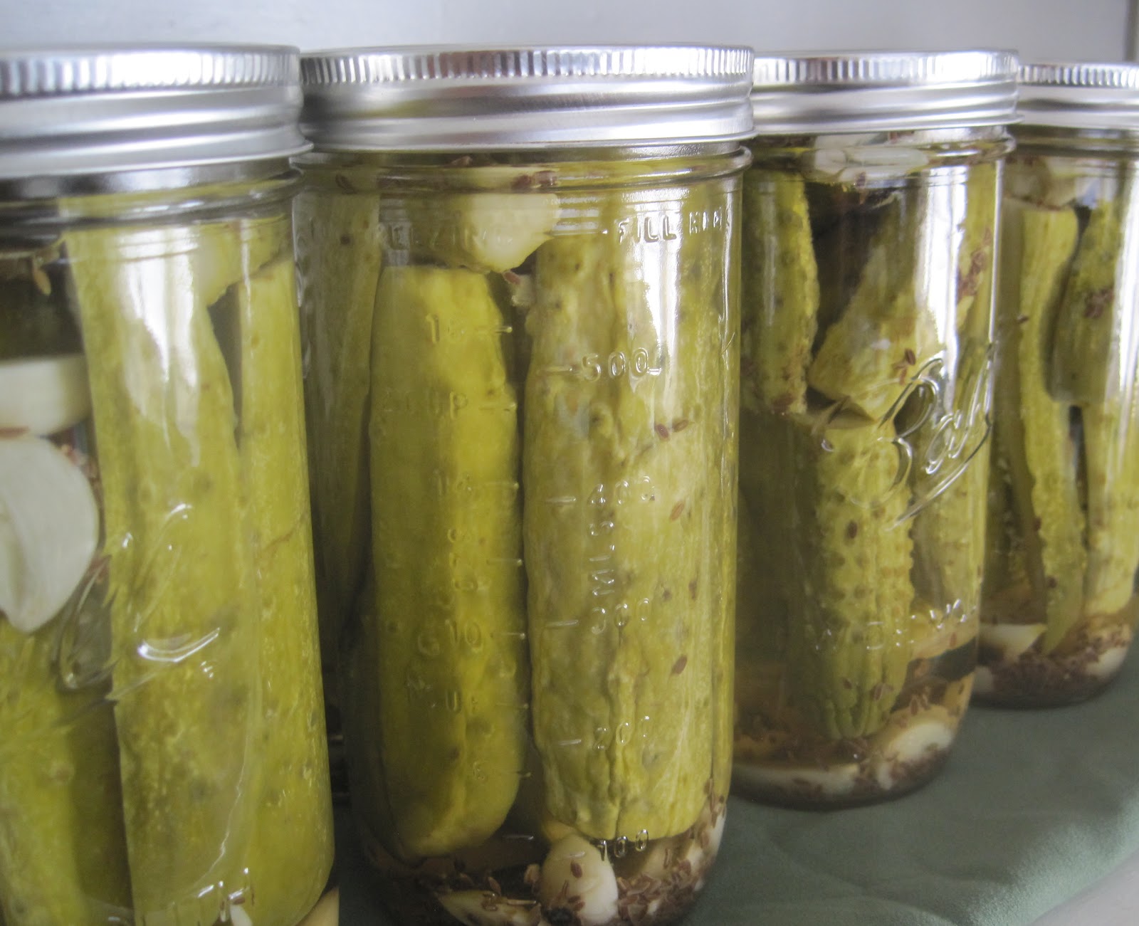 CuriousDoodles Canning Dill Pickles For The First Time