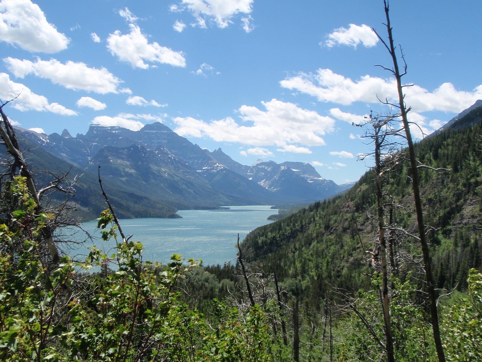The Humble Hiker Bertha Lake, Waterton Lakes National Park