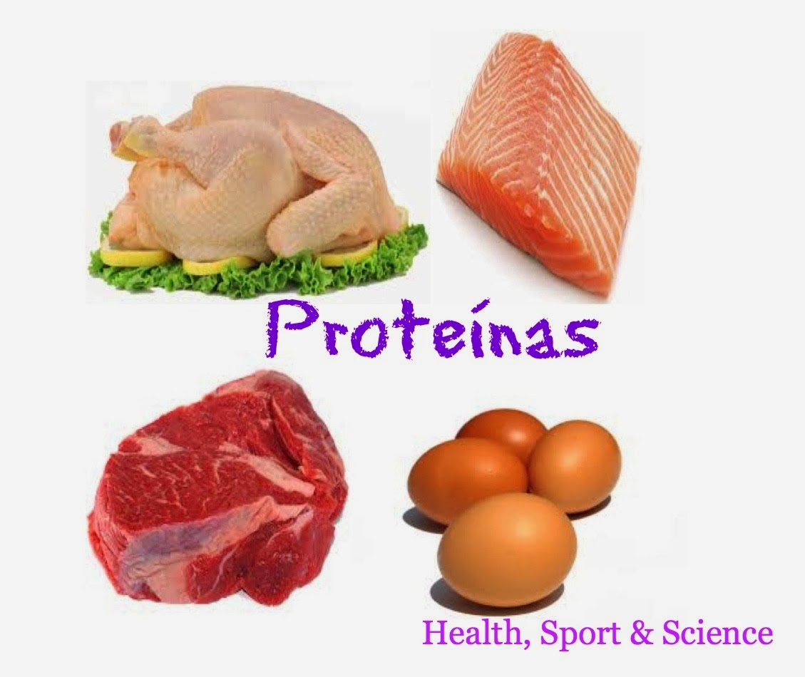 Health Sport And Science Proteínas En La Dieta