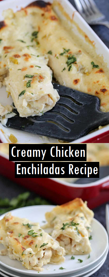 Creamy Chicken Enchiladas Recipe - Dessert & Cake Recipes