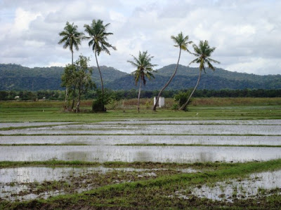  தம்பலகாமம் 