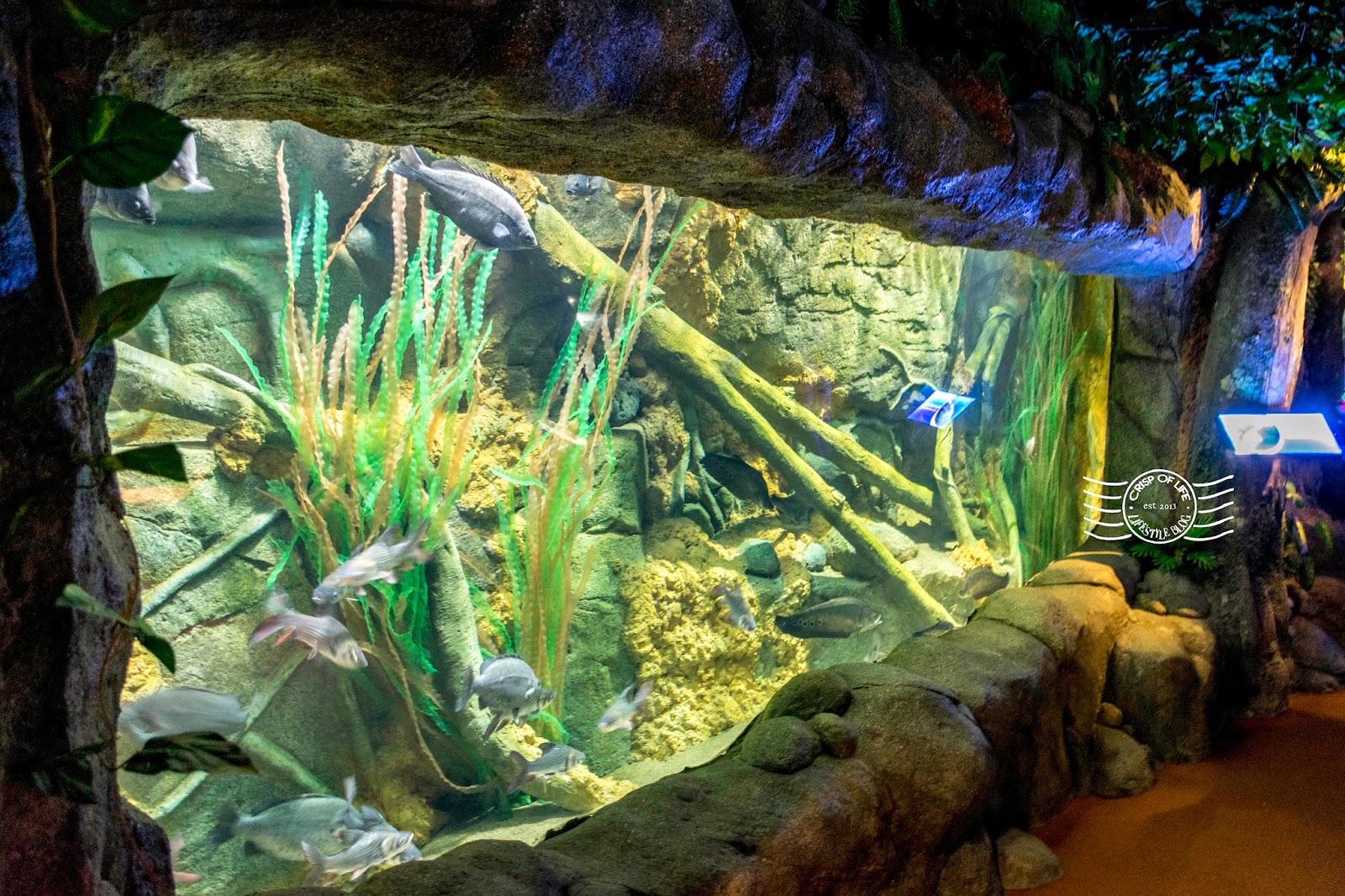 Penang aquarium Pusat Perikanan