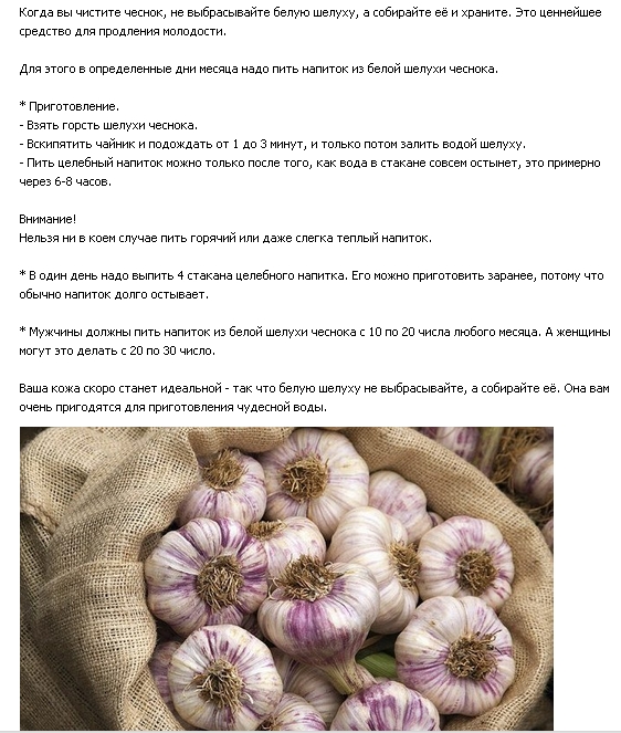 чеснок при гипертонии. молоко с чесноком от давления. поднимает ли чеснок давление. поднимает ли чеснок давление. поднимает ли чеснок давление.