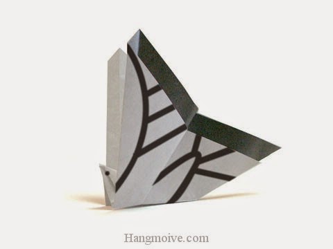 Cách gấp, xếp con bướm Swallowtail bằng giấy origami - Video hướng dẫn xếp hình côn trùng - How to fold a Butterfly
