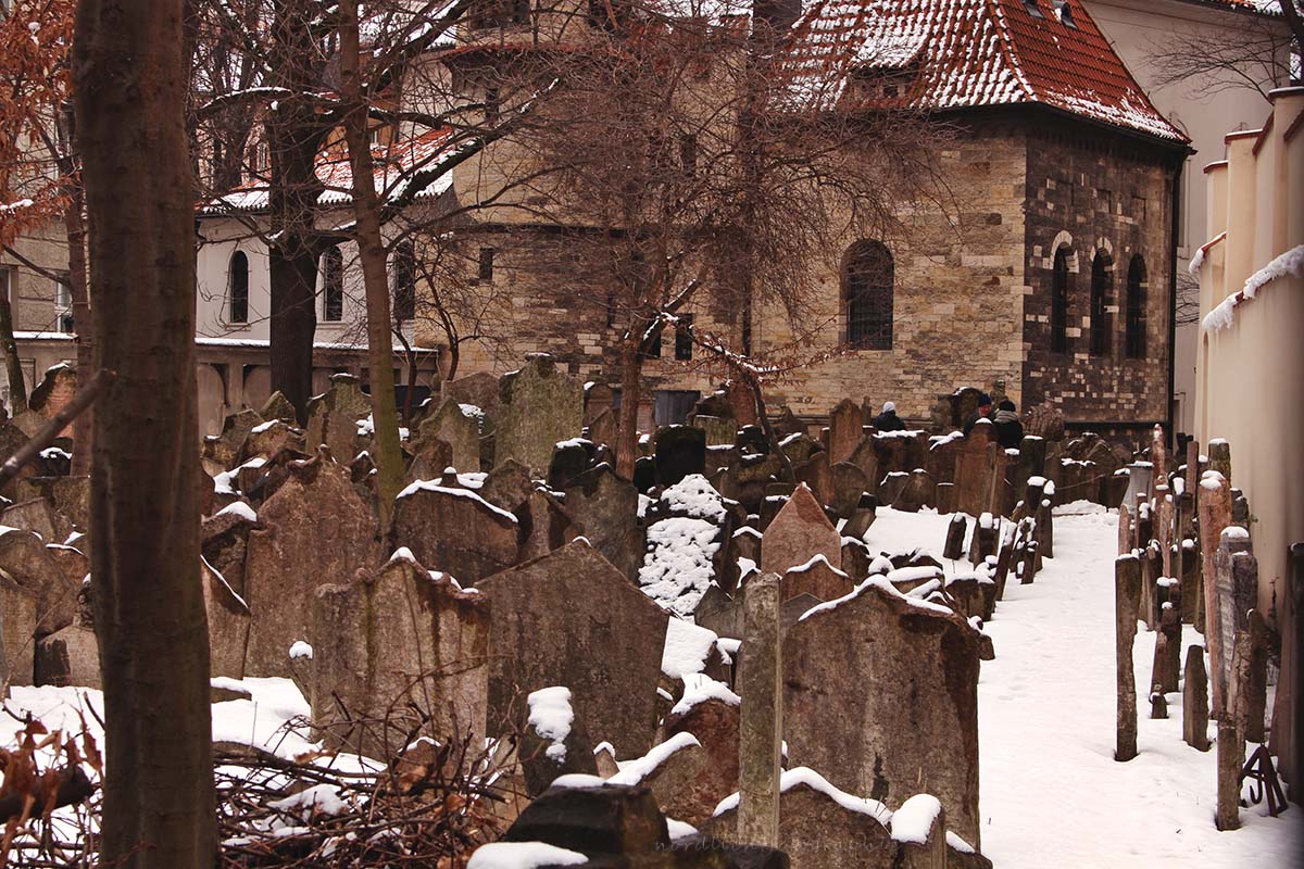 Nordlicht Fotographie