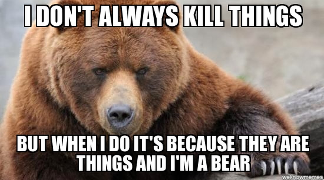 Медведь умеет читать