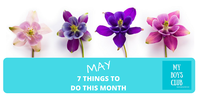 7 Things To Do In May