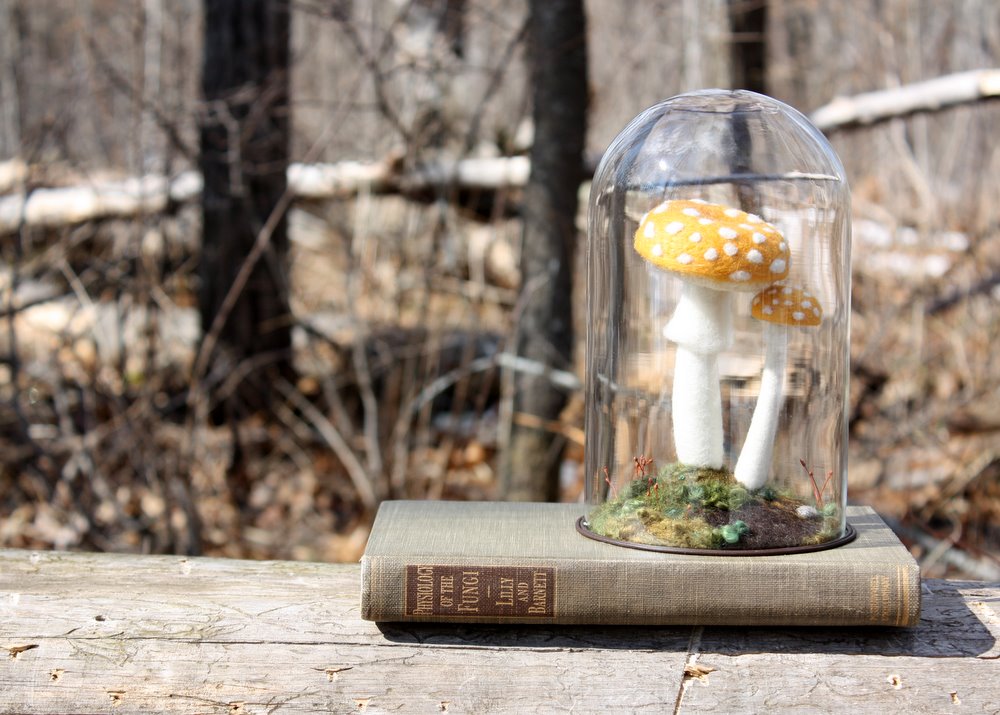 lil fish studios: The Book On Mushrooms (or mushrooms on a book perhaps)