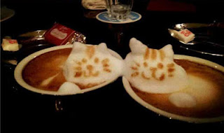 espuma cafe gatitos