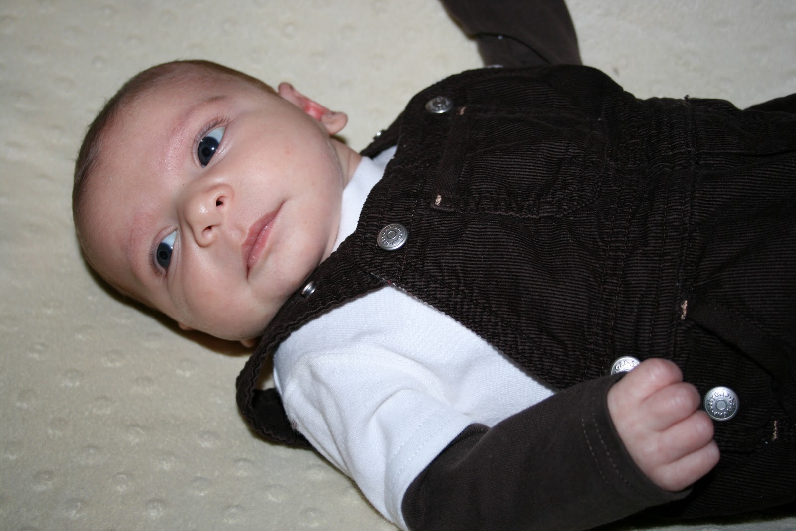 Quinn Central Handsome FAT Jack