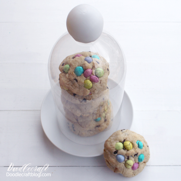 DIY Cloche Cover  Make a fancy cookie cover with something you probably already have! Click for more details!
