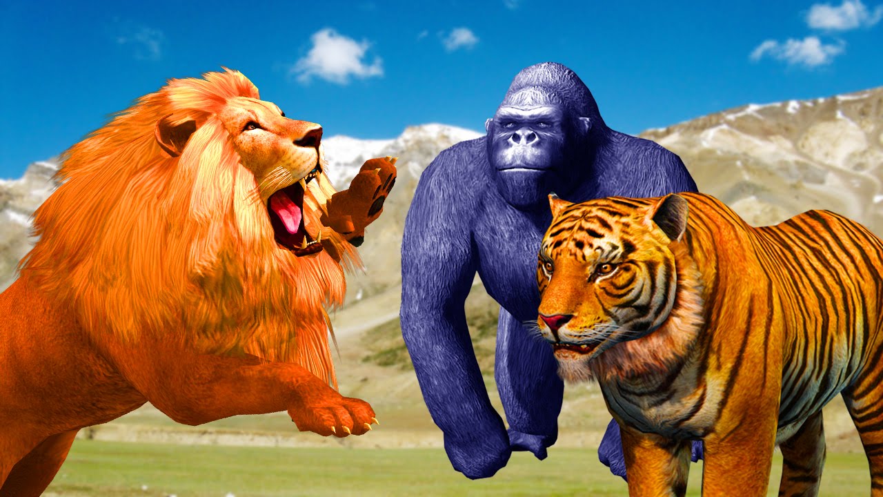 Godzilla Cartoons For Kids Crazy Gorilla Colour Rhymes For Children Lion Tiger Gorila Cartoon Color Animal Video For Kids