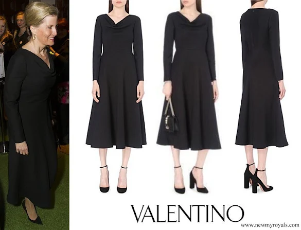 Countess Sophie wore VALENTINO Draped Cowl-neck Wool and Silk Blend Dress