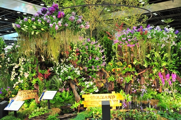 Kumpulan Gambar Taman Bunga yang Indah dan Inspiratif:Blog Bunga