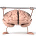WORKOUT IDEAS FOR YOUR BRAIN