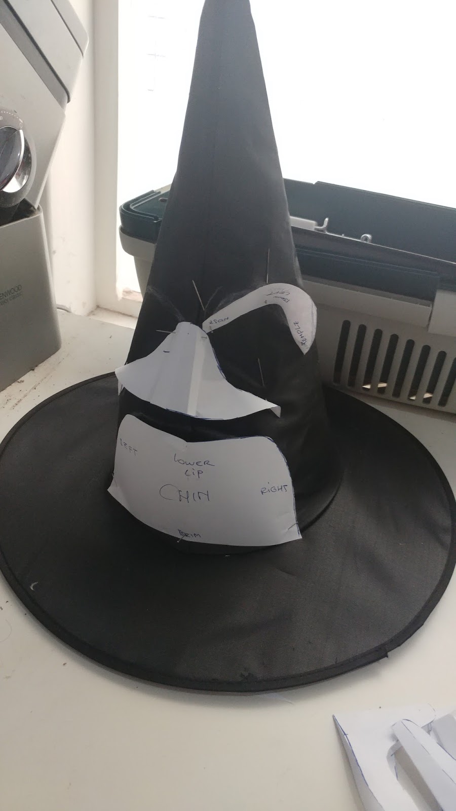DIY Harry Potter Collection The Sorting Hat