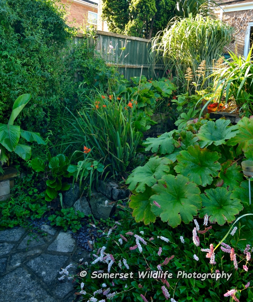 Higgy S Garden Project As Seen On Bbc Springwatch Best