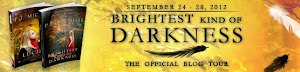 Brightest Kind of Darkness Tour